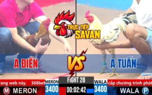 Trận 28 CPC3 Ngày 25/03/2025 – Gà Anh Tuấn Chấp Chế, Thua Ở Phút Cuối